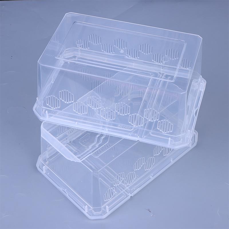 Reptile Tank Insect Spiders Tortoise Lizard Plastic Transparent Reptile Breeding Box Vivarium With Balcony Feeding Supplies