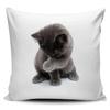 Cute Cat Print Pillowcase Car Ornaments Office Living Room Home Pillowcase