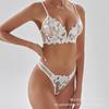 Lingerie sexy femminile sexy scollatura a V profonda ricamo pizzo ultrasottile reggiseno seno grande set reggiseno piccolo