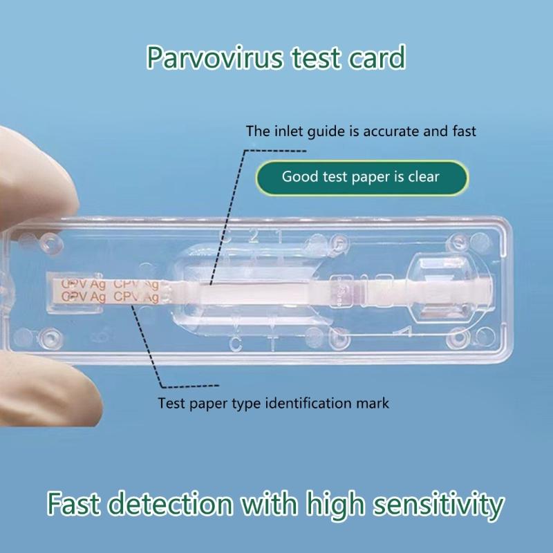 CPV Test Wellness Detection for Dogs Cats Testing Strips of Helicobacter CDV Test for Dogs/FPV Test Help Veterinarian