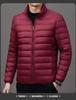 2024 Men's Lightweight Fashion Down Jacket - Short Stand Collar, White Duck Down, Warm Winter Coat