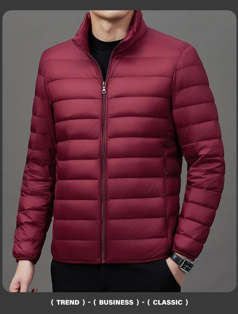2024 Men's Lightweight Fashion Down Jacket - Short Stand Collar, White Duck Down, Warm Winter Coat