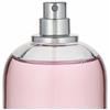 Dsquared2 Wood for Her Eau De Toilette 100 ml (woman)