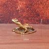 1Pcs Mini Lotus Leaf Frog Figurines Sleeping Position Frog Brass Ornament Copper Animal Tea Pet Home Decorations Antique Crafts+