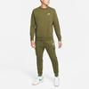 Nike Sweatshirts Men's Green Crew Neck Moderate Regular (Unisex) Sweatshirts BV2667 326