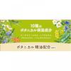 Warm Bubble Botanical Time 12 Tablets Earth Pharmaceutical