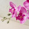 Realistic Simulation Phalaenopsis Cloth Fake Butterfly Orchid Artificial Moth Orchids  Bedroom