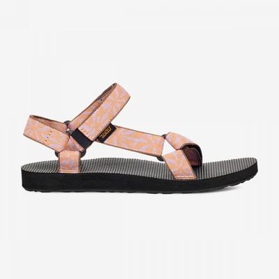 Sapatos de mulher – Sandálias