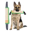 Dog Molar Toy with 2 Handles Tossing Teething Game Toy Reflective Pillow