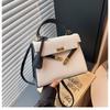 Autumn and Winter New Bags Women's Fashion Versatile Portable Shoulder Bag High Texture Messenger Bag Solid Color High Sense