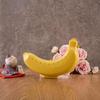 Kunststoff Bananen Schutz Aufbewahrungsbox Obstbehälter Brotdose Tragbarer Bananenhalter für Reise Schule Picknick Camping Gebrauch
