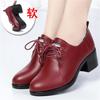 Women Shoes Chunky Heels Causal Lace Up Pumps Vintage Mid Heels Loafers Ladies Soft Sole Deep Mouth Single Shoes