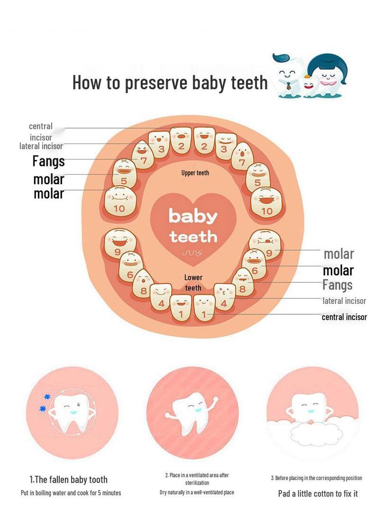 Children's Wooden Tooth & Lanugo Keepsake Box
