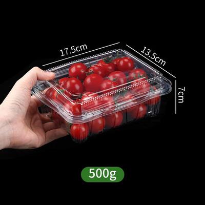 Disposable Plastic Fruit Boxes