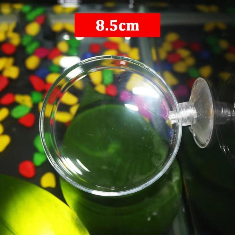 

with Suction Cup Aerial Feeding Bowl Fish Shrimp Feeding Dish for Fish and Shrimp Aquariums E