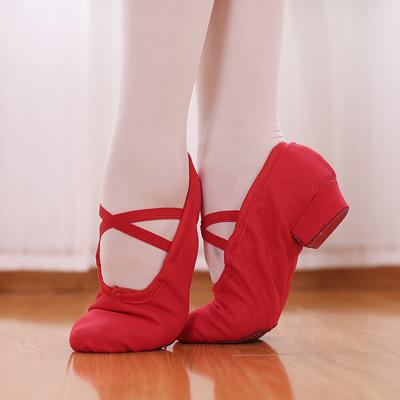 Ballet Dance Shoes Women Teacher Stage Training Shoes Soft Sole Slippers Yoga Practice Shoes Girl's Jazz Dancing Performa Shoes