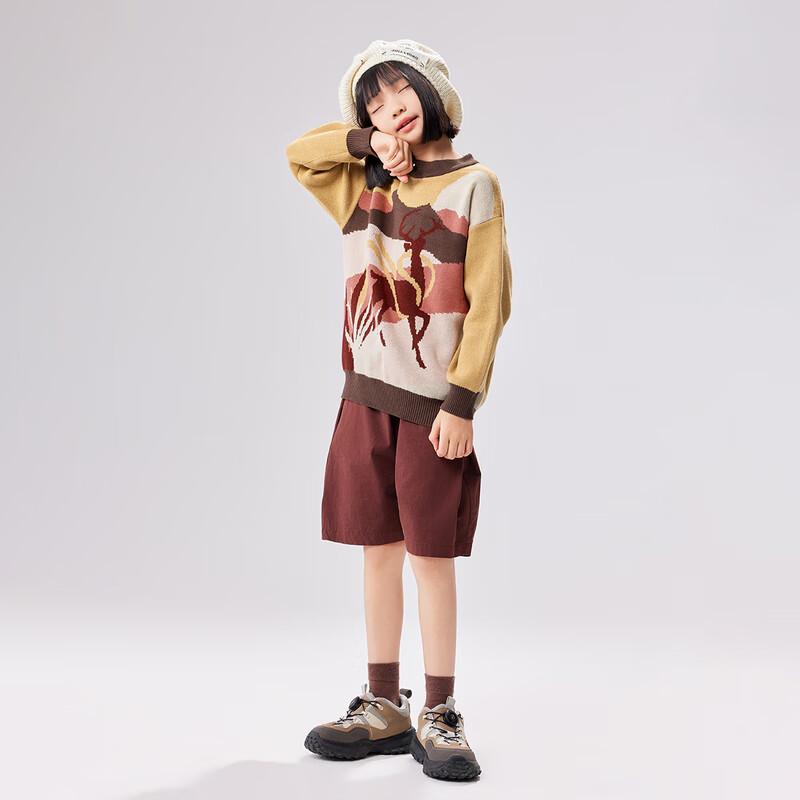 EBAER Kids' Round Neck Pure Cotton Knit Sweater