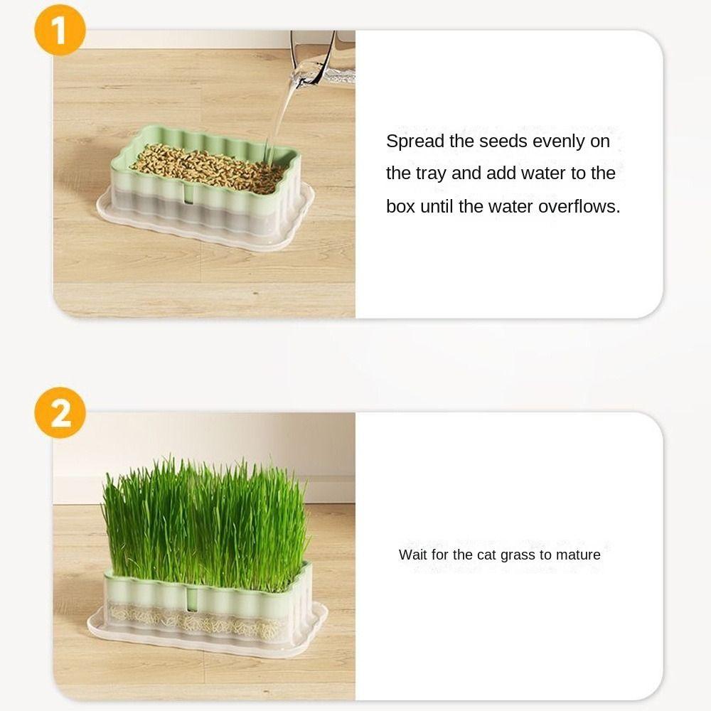 Sprout Planting Helper Hydroponic Sprouting Plate Soilless Cultivation Cat Grass Dish