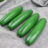 Simulation Cucumber & Bottle Gourd Model - Educational & Photography Props