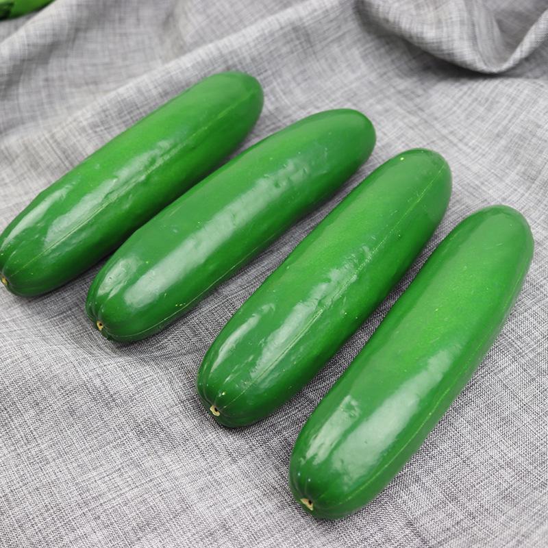 Simulation Cucumber & Bottle Gourd Model - Educational & Photography Props