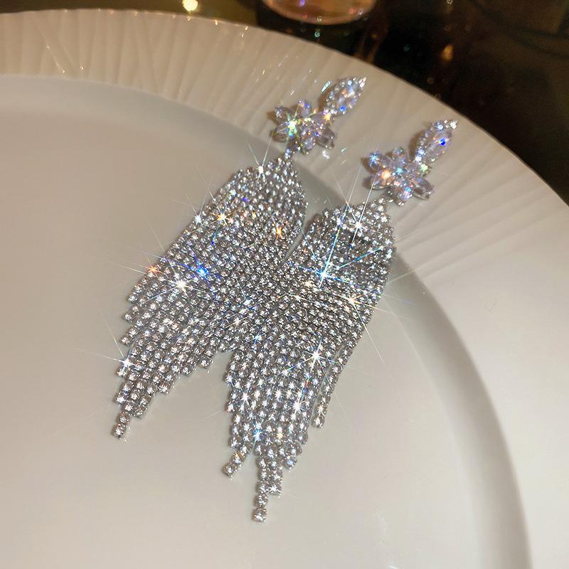 European and American Silver Needle Zircon Fringed Earrings Light Luxury High-end Atmospheric Earrings Niche Earrings Women