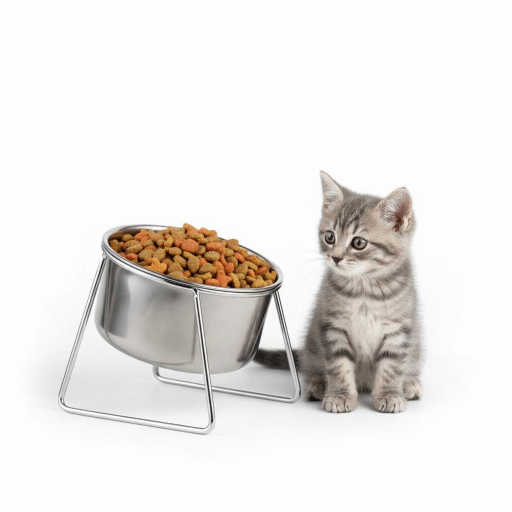 Anti-Tipping Stainless Steel Cat Bowl Fall-Resistant Sturdy Neck Protector Bowl Rust Proof with Stand High Foot Dog Feeder