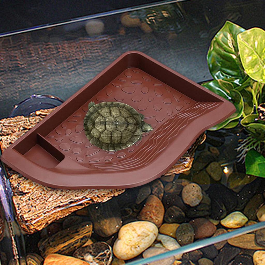 Aquarium Decoration with Bathing Area for Tortoise and Bearded Dragon