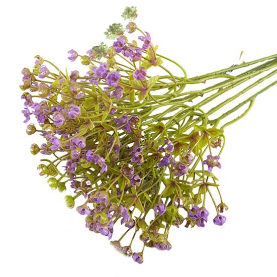 Przydatny sztuczny kwiat Realistyczny, przyciągający wzrok dekoracyjny