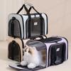 Runhui Foldable Pet Carrier: Breathable, Portable Cat & Dog Bag with Large Capacity