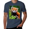Animals 17 Adorable Red Panda In Tree Tshirt Basic Lightweight Short Sleeve Tee Tshirt