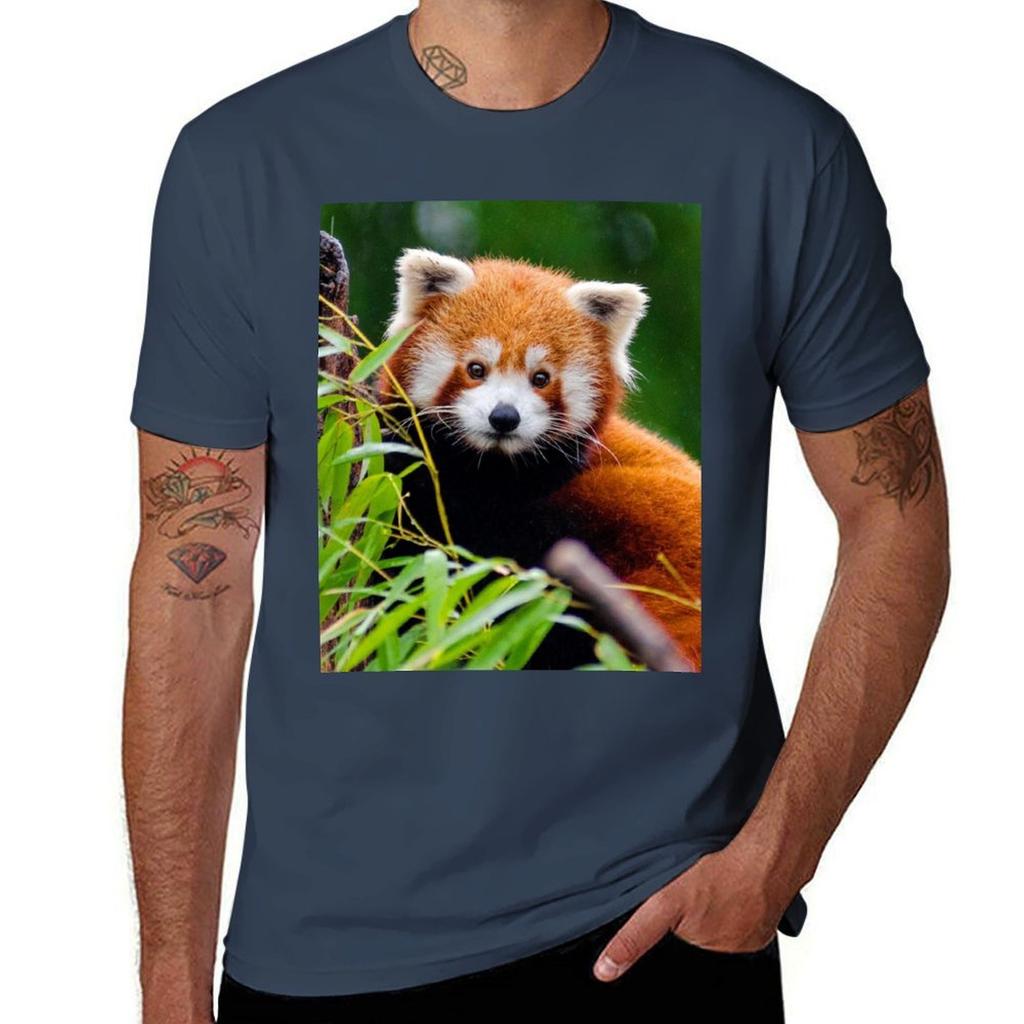 Animals 17 Adorable Red Panda In Tree Tshirt Basic Lightweight Short Sleeve Tee Tshirt
