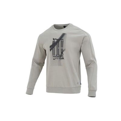 Wuji Serie Grafikprint Rundhals-Sweatshirt Herren Oberteile Grau IA8186