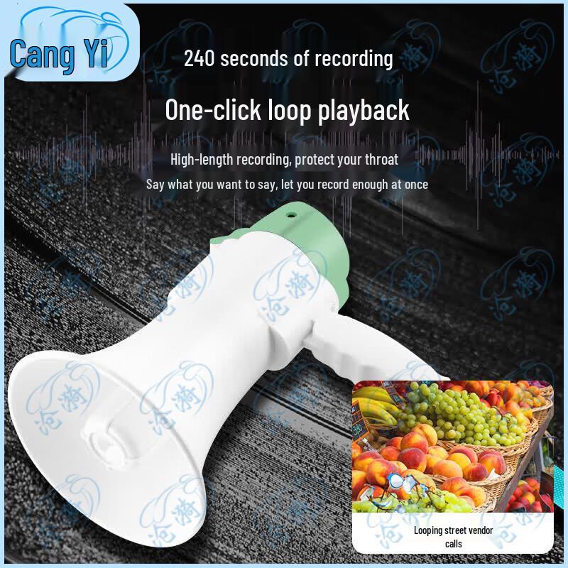 Handheld Recording Megaphone