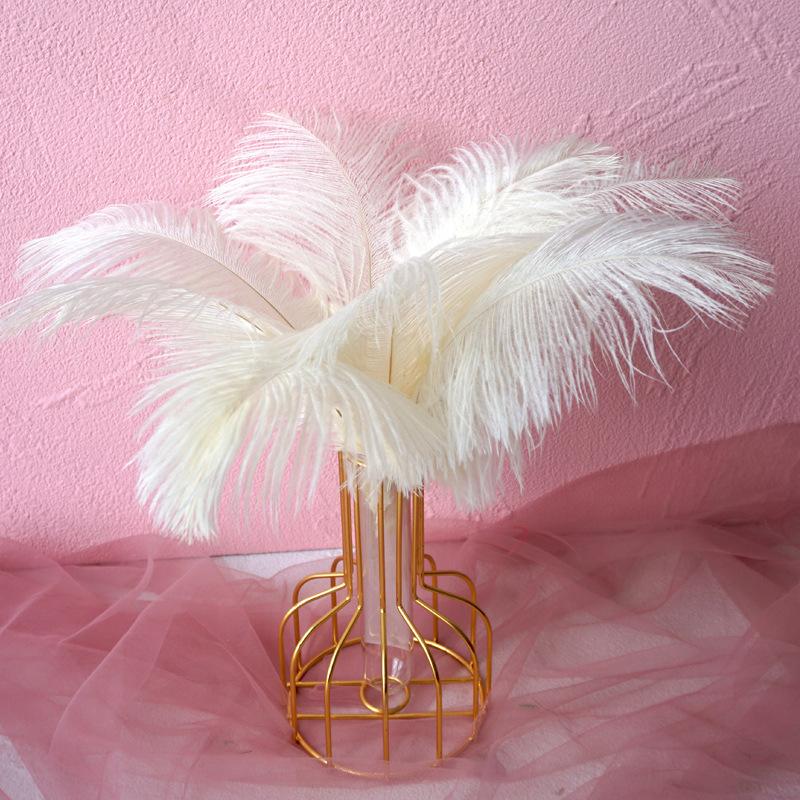 Color 20-25Cm Ostrich Hair Vase Ornament Wall Feather Decoration Hand Bouquet Flower Arrangement Diy Material