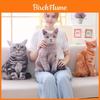 Adorable Almohada de Gato con Simulación 3D de 50 cm Juguete de Peluche Cojín Para Decoración Acogedora del Hogar