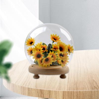 Cu bază din lemn Vitrine Borcane decorative Obiecte clare de colecție rezistente la praf Bijuterii Zi de naștere
