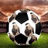 Cute Puppy Indoor Size 5 Soccer Ball Colorful Machine Stitched PVC Competition Ready Durable High-Bounce