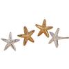 Gold Color Ear Studs Ocean Style Starfish Earrings High Quality Ear Jewelry  Gift