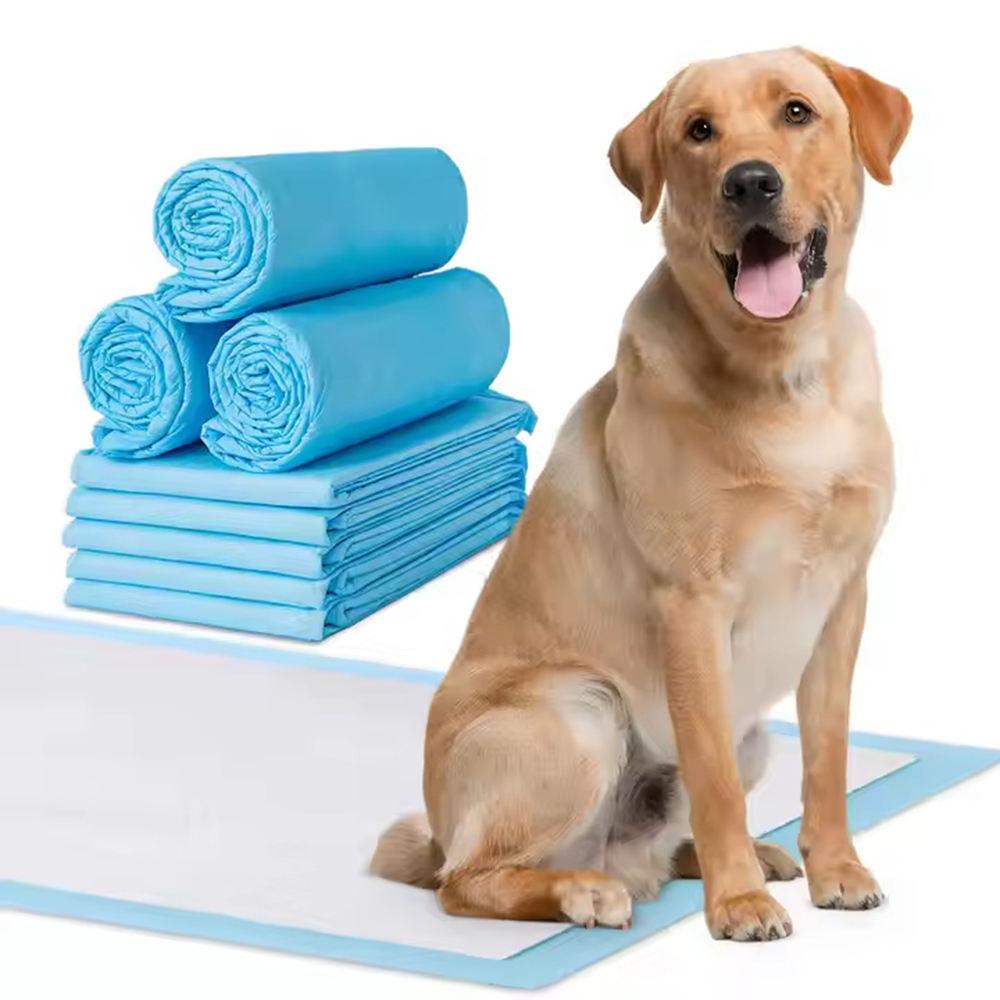 Small Dog Cat Super Absorbent Polymer Potty Urine Training Pad Disposable Leak-Proof Pet Toilet Mat ODM