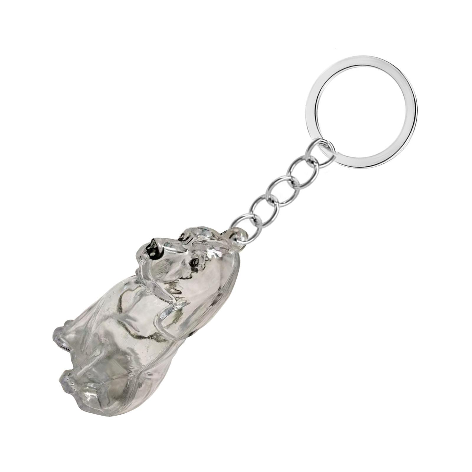 

Прозрачная коробка для хранения памятных вещей с шерстью питомца, брелок для любителя собак, коллекционера шерсти питомцев, аксессуары для брелка, подарок 3