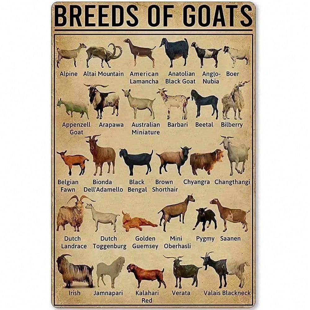 Knowledge Metal Tin Signs Goat Breeds Educational Print Library Classroom Home Decor 20x30cm разноцветный