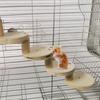 1 Set Hamster Ladder High Stability Detachable Solid Climbing Stairs Birds Parrot Exercise Perches Stand for Home Use