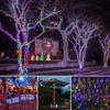 LED Solar String Lights 300LED 8 Modes Solar Powered Xmas Outdoor Lights Waterproof Starry Christmas Fairy Lights
