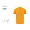 Custom Logo Corporate Polo Shirt, Unisex Summer Style, Lapel, Short Sleeve, Embroidered Workwear