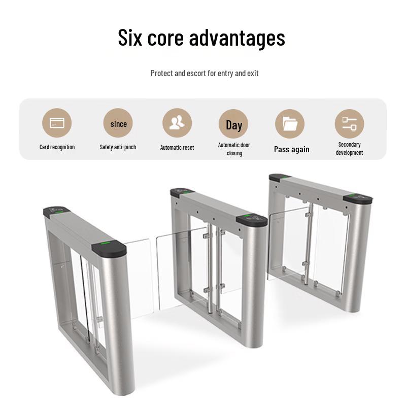 Smart Facial Recognition Swing Gate CN Plug (adapter Included)