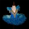 June 1 Children's Ballet Swan Costume - Girls Tulle Princess Dress for Dance