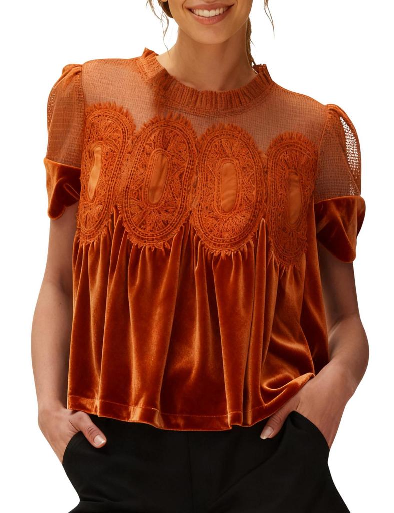 Women's Elegant Velvet Lace Round Neck Bell Sleeve Top