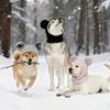Solid Color Pet Knitted Warm Hat Cute Dog Calming Earmuff Funny Dog Ear Muffs  Photography