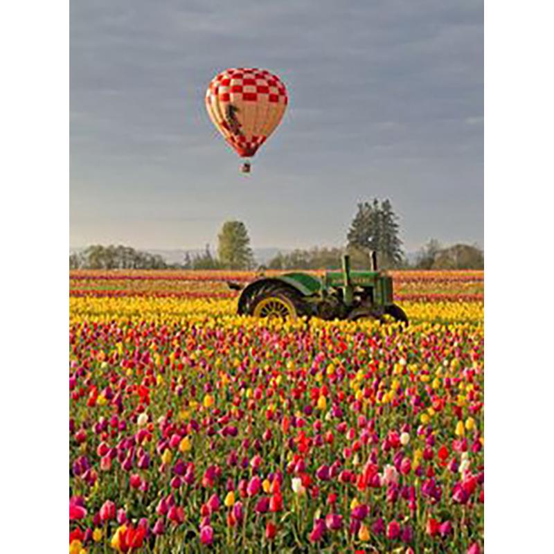 5D DIY Diamond Painting Full Round Drill Craft Kit Diamond Embroidery Balloon Landscape Cross Stitch Mosaic Wall Art Home Decor