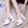 Calzado para mujer – Sandalias